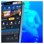 winner bet apk